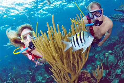 Embark on an Adventure: Carnival Magic Excursions for Outdoor Enthusiasts
